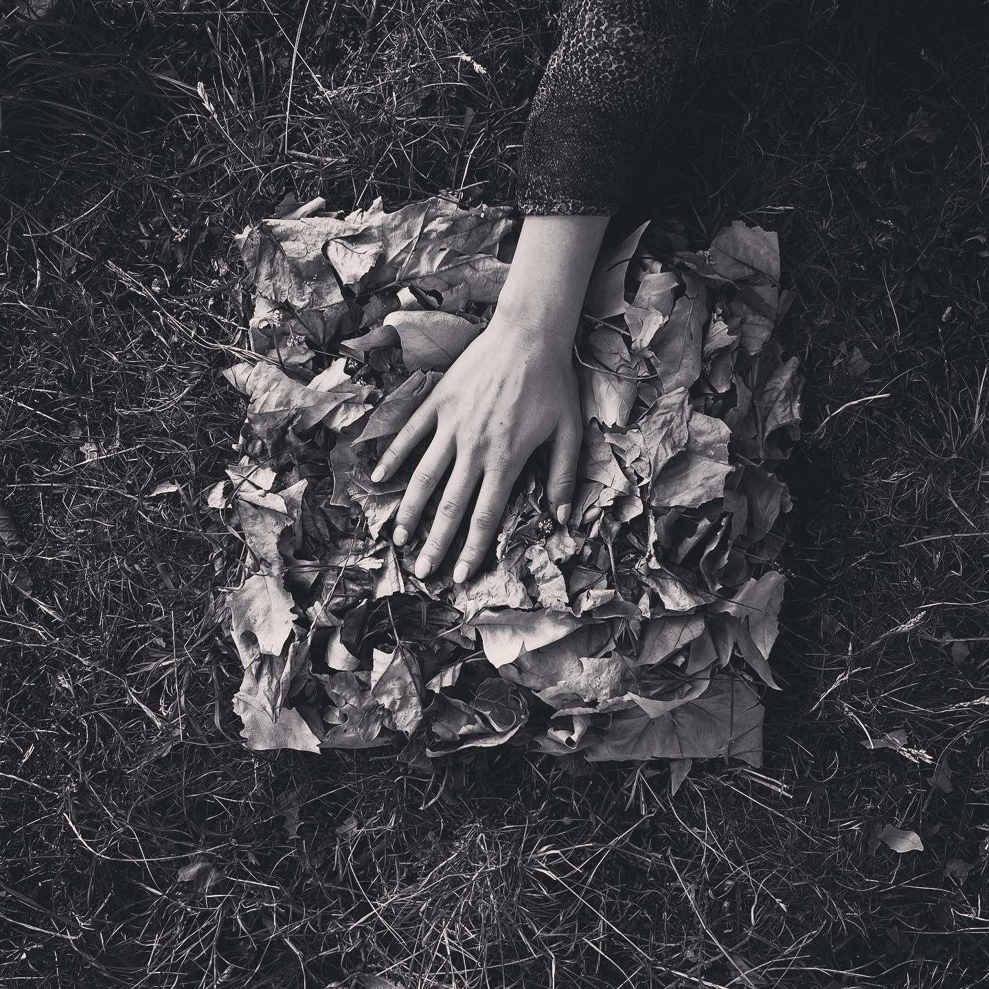 Signum — various icons